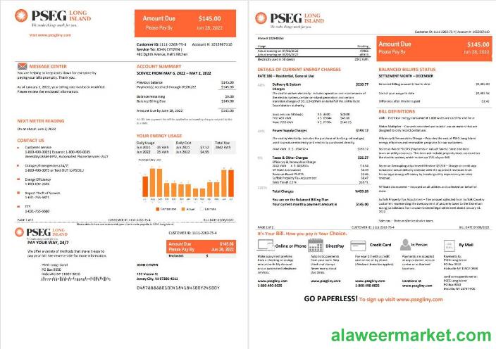 USA New Jersey PSEG electricity utility bill template in Word and PDF format, 2 pages